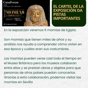 Momias 2 - Museo - Lectura fácil