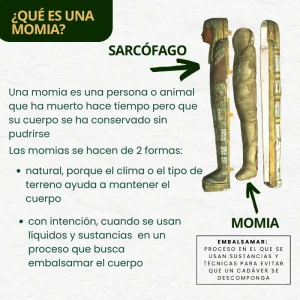 Momias 3 - Museo - Lectura fácil