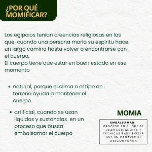 Momias 4 - Museo - Lectura fácil